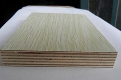 ���Ӱ�ĸ��﹤ˇ����Щ����Ӱ���