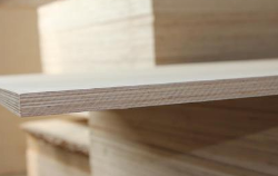 ������У�ɽ�|���Ӱ�S���ռ����֪�R(sh��)��