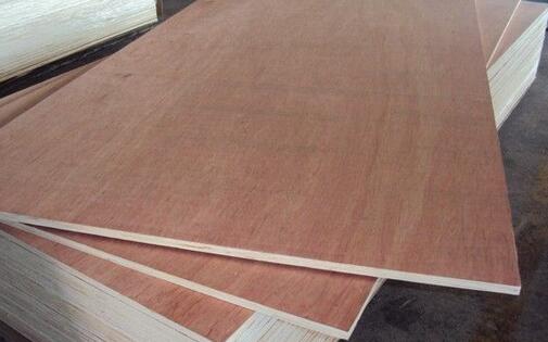 2016-2017����Ӱ��Ј�����F(xi��n)�����