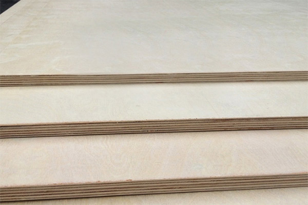 ���Ӱ����Ҫ��(y��u)��(sh��)