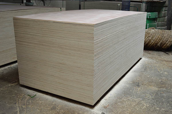 ���γ��Ͷ��Ӱ�