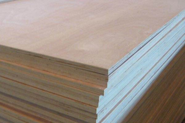 ���γ��Ͷ��Ӱ�