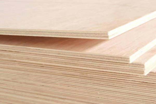 ��Ŷ��Ӱ���Ҫע������(xi��ng)