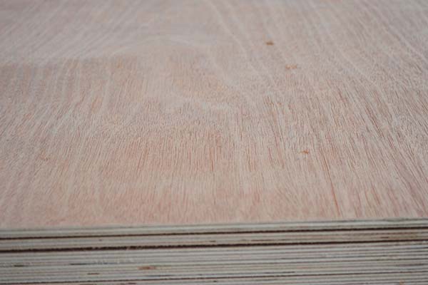 ���Ӱ�ď����c��Щ�������P���ڃ���rҪע��ʲô��