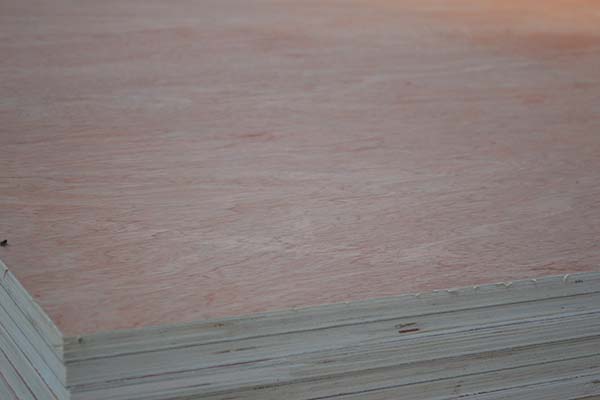 ���Ӱ��ڃ���rҪ���]��Щ���}��