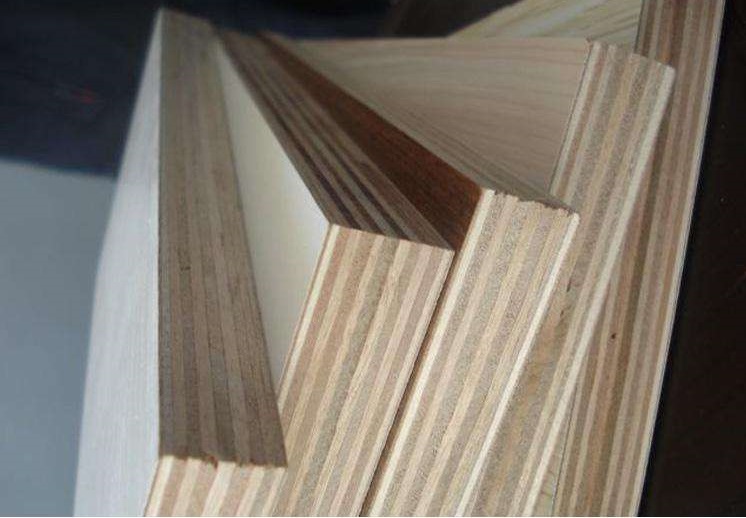 ���Ӱ�S�ң���ľ��Ͷ��Ӱ�ą^(q��)�e