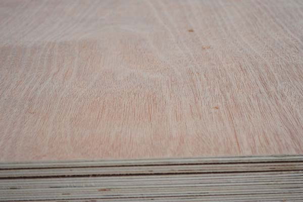 ���Ӱ����l(f��)�S������ο��Ʈa(ch��n)Ʒ��ȵ�