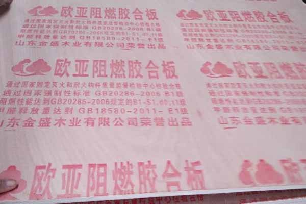 ��ȼ��ĺ��ģ���ȼ���İl(f��)չ�v��